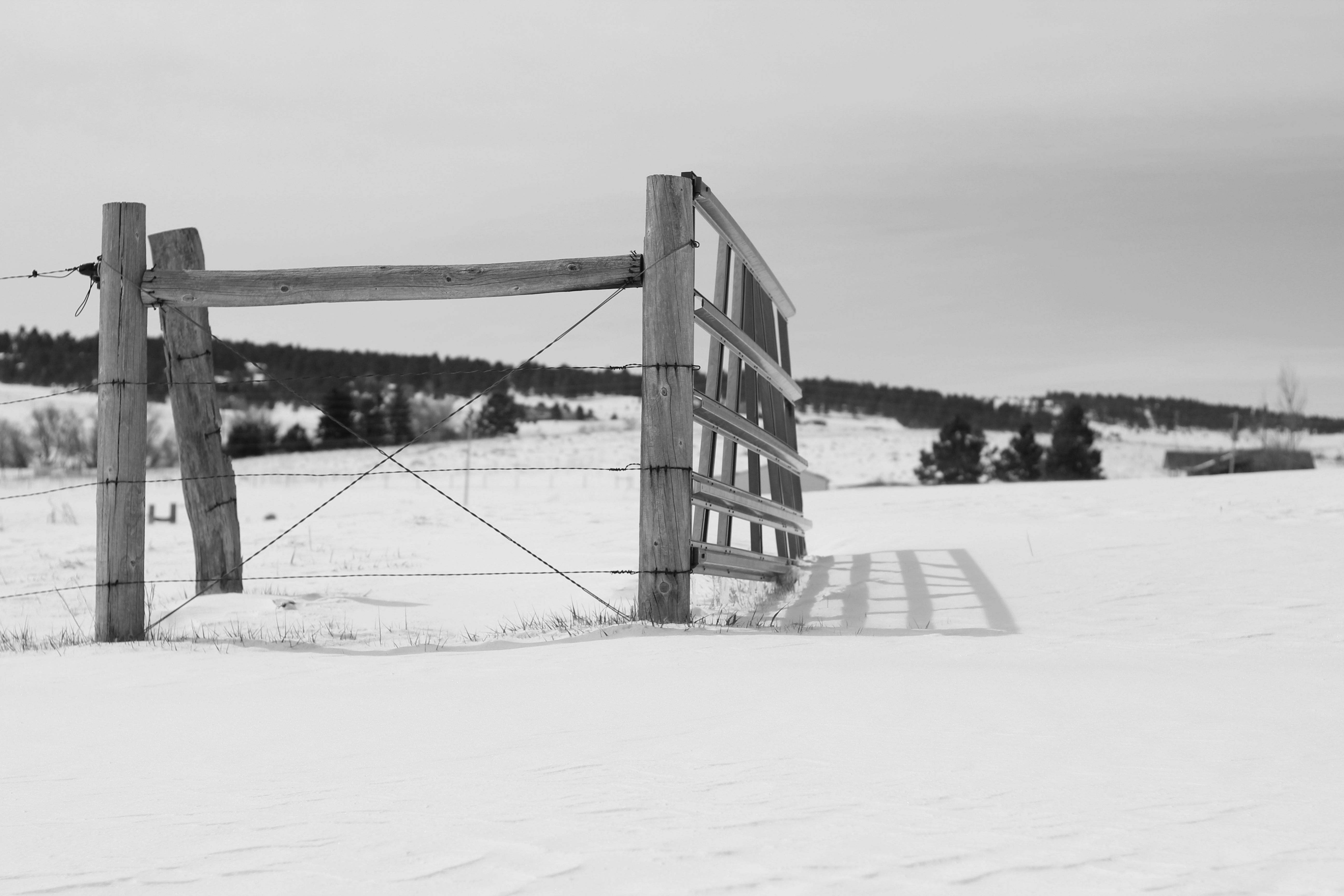 Old pasture fence with freshly fallen snow